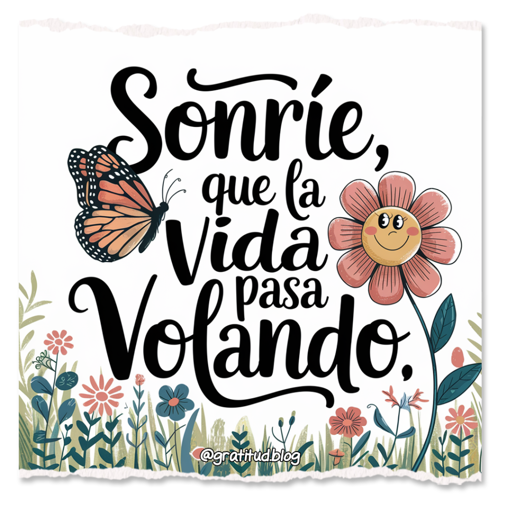 Portafolio de ejemplos de diseño gráfico, edición de video y gestión de redes sociales de Retal Studio, agencia de marketing en Mataró.