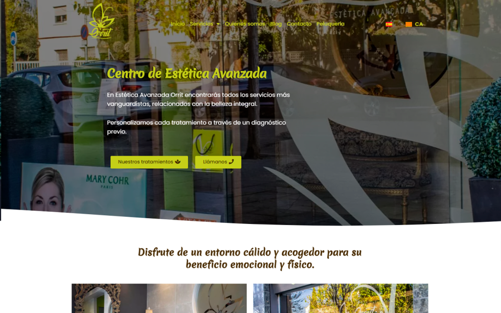 Desarrollo Web